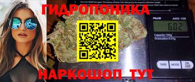 мдпв Гуково