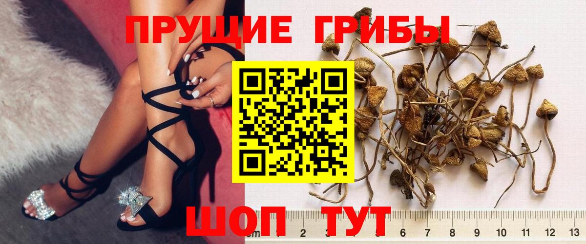 Галлюциногенные грибы мухоморы Карталы